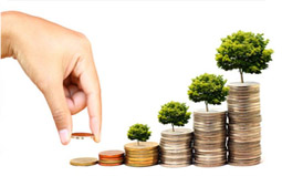 Investment Management